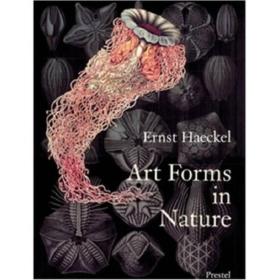 Art Forms in Nature：The Prints of Ernst Haeckel