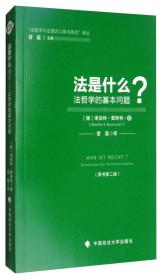 “法哲学与法理论口袋书系列”译丛：法是什么？（原书第2版）