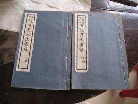 《马骀画宝之百花写生画谱》（上、下册）