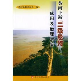 黄河下游“二级悬河”成因及治理对策