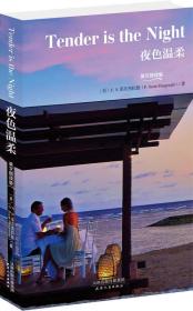 夜色温柔：TENDER IS THE NIGHT
