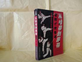 从绿带到黑带 道馆式跆拳道 威力卷