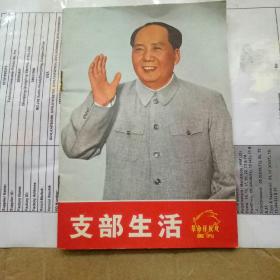 支部生活革命样板戏画刊