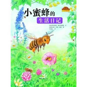 我的自然生态图画书系 小蜜蜂的生活日记