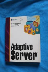 SYBASE Adaptive Server