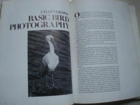 The complete book of photographing birds  鸟瞰全书，中文书名供参考.