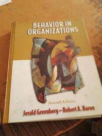 Behavior In Organizations  书有少许划线