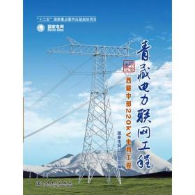 青藏电力联网工程西藏中部220kv电网工程