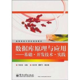 数据库原理与应用：基础、开发技术、实践