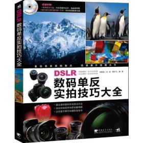 数码单反实拍技巧大全(无光盘）