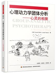 心理动力学团体分析——心灵的相聚（万千心理）