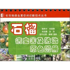农作物病虫害田间诊断技术丛书：石榴病虫害及防治原色图册
