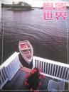 摄影世界【1989年第11期】（利用图案和形态突出立体感 太阳镜在影象中的作用 等内容）