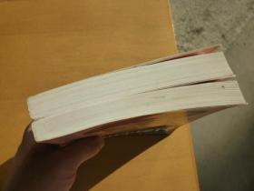 和珅秘传(上下册)