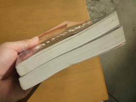 和珅秘传(上下册)