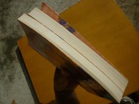 和珅秘传(上下册)