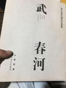 书法作品自选集武春河