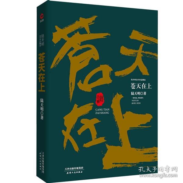 陆天明当代作品精选：苍天在上