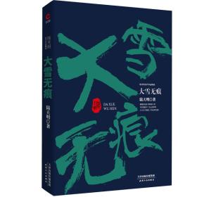 陆天明当代作品精选：大雪无痕