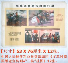 《原版老宣传画●“三防”挂图》12张.。【尺寸】每张53 X 76厘米 X 12张。