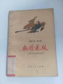 龙腾虎跃