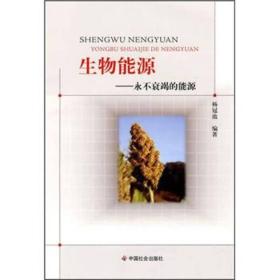 生物能源:永不衰竭的能源