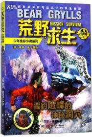 雪豹险峰的神秘洞穴（拓展版）/荒野求生少年生存小说系列