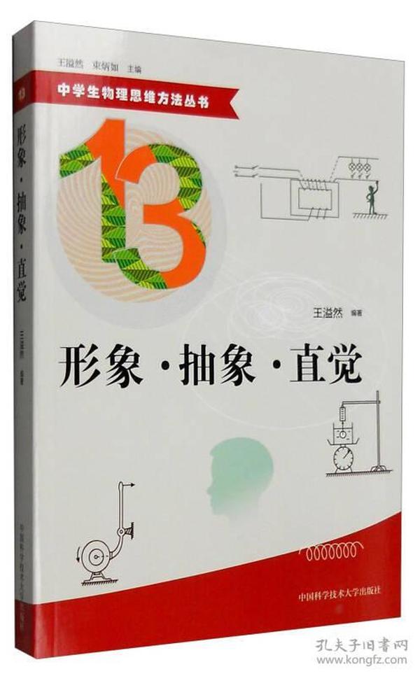 中学生物理思维方法丛书：分析与综合、守恒、猜想与假设、图示与图像、模型、等效、对称、分割与积累(全13册)