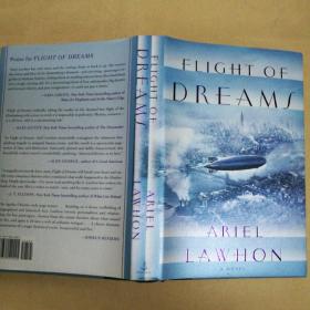 梦想的飞翔 Flight of Dreams