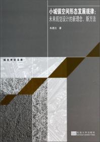 城乡世纪文库·小城镇空间形态发展规律：未来规划设计的新理念、新方法