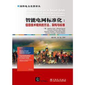 智能电网标准化：信息技术相关的方法、架构与标准