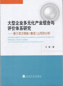 大型企业多元化产业组合与评价体系研究