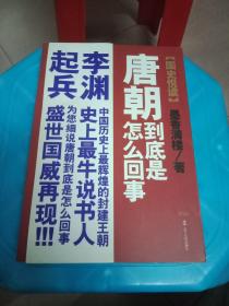 唐朝到底是怎么回事1李渊起兵