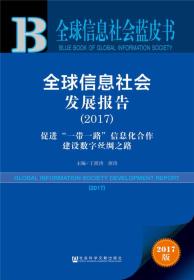 皮书系列·全球信息社会蓝皮书：全球信息社会发展报告（2017）