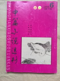 中篇小说选刊（2009年第6期）