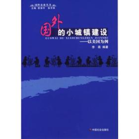 国外的小城镇建设:以美国为例