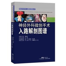 神经外科微创手术入路解剖图谱（神经外科手术入路解剖图谱丛书）9787535968142