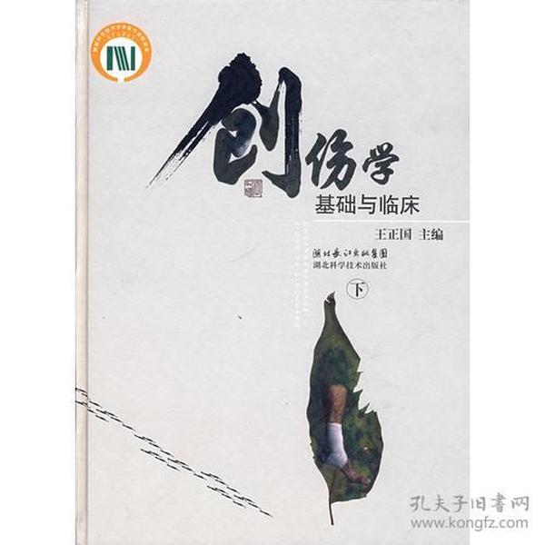 创伤学基础与临床（下册）