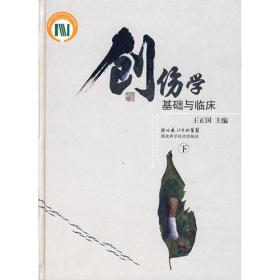 创伤学基础与临床（下册）