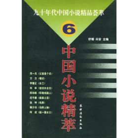 九十年代中国小说精品荟萃（6）