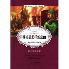 【全新正版】中外文学精品廊(青少年彩绘版)：钢铁是怎样炼成的