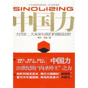 中国力：大历史、大未来与我们的强国法则