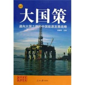 通向大国之路的中国能源发展战略通向大国之路的大国战略