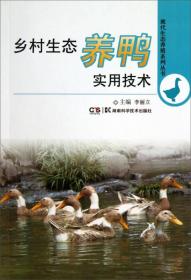 现代生态养殖系列丛书：乡村生态养鸭实用技术