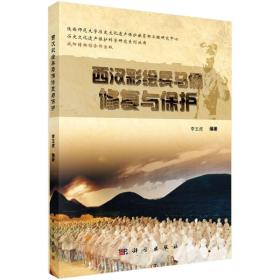 西汉彩绘兵马俑修复与保护