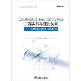 COMSOL Multiphysics工程实践与理论仿真：多物理场数值分析技术