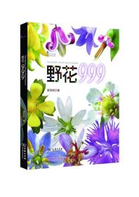 野花999/自然观察丛书（全新塑封）