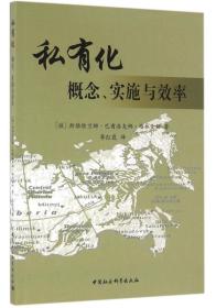 私有化：概念、实施与效率