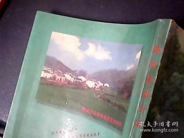 婺源革命史话·