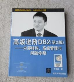 高级进阶DB2：内部结构、高级管理与问题诊断（第2版）